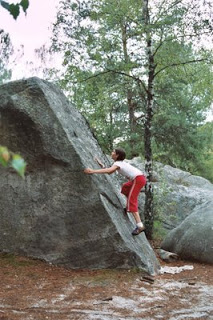 SORTIE DIMANCHE 26 OCTOBRE à FONTAINEBLEAU