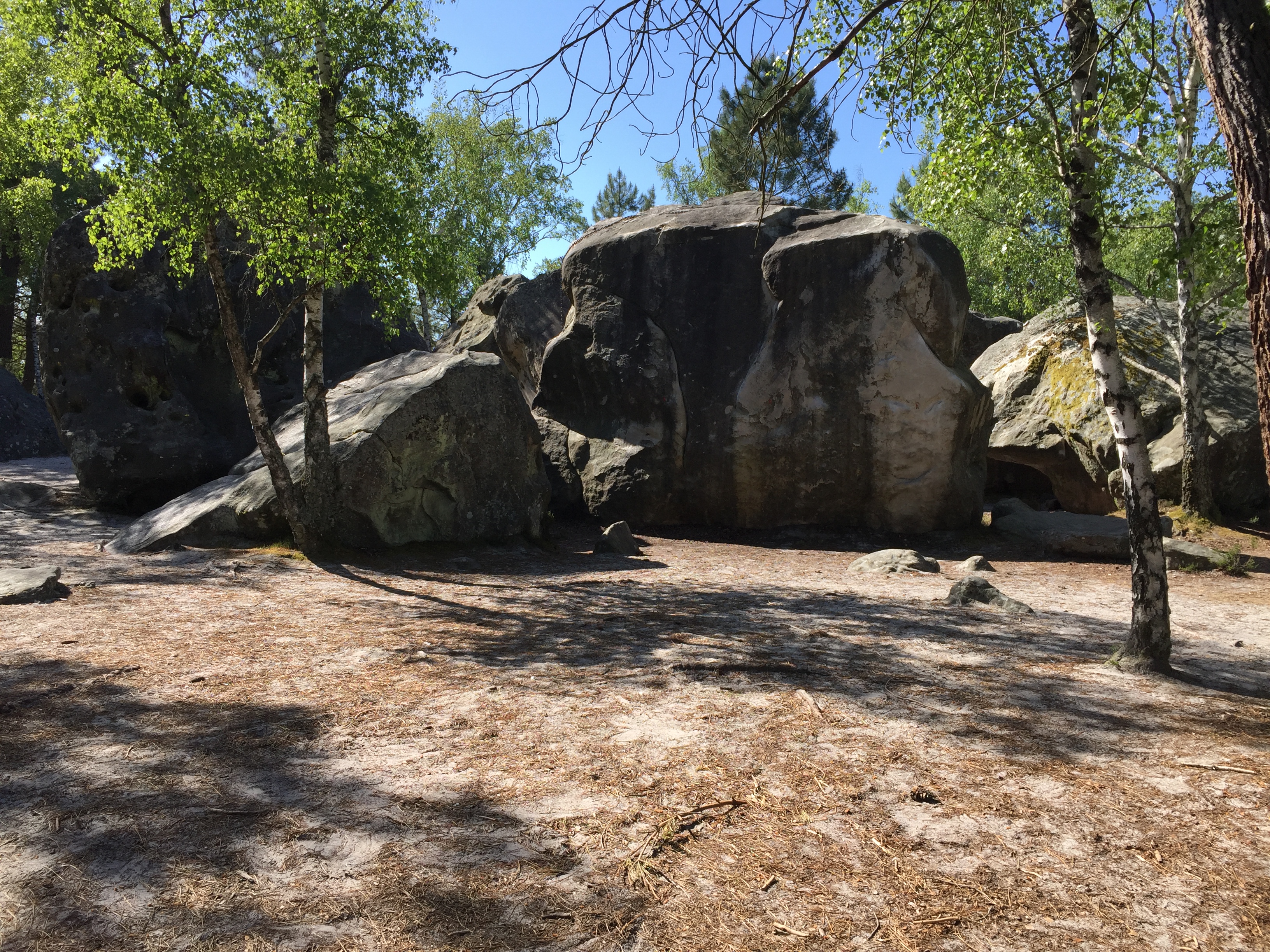 Fête de la grimpe à Fontainebleau le dimanche 10 juin 2018