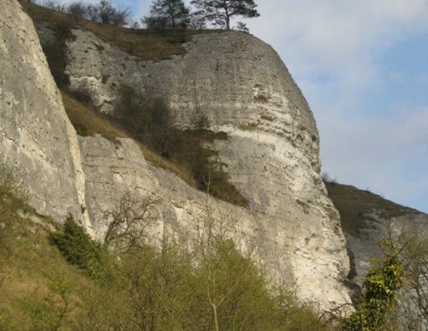 Sorties Falaises